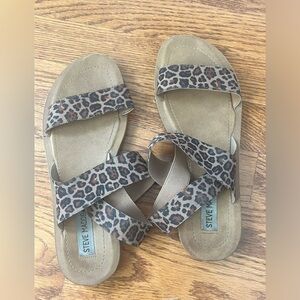 Steve Madden Raffy Sandals - Cheetah / Leopard Print